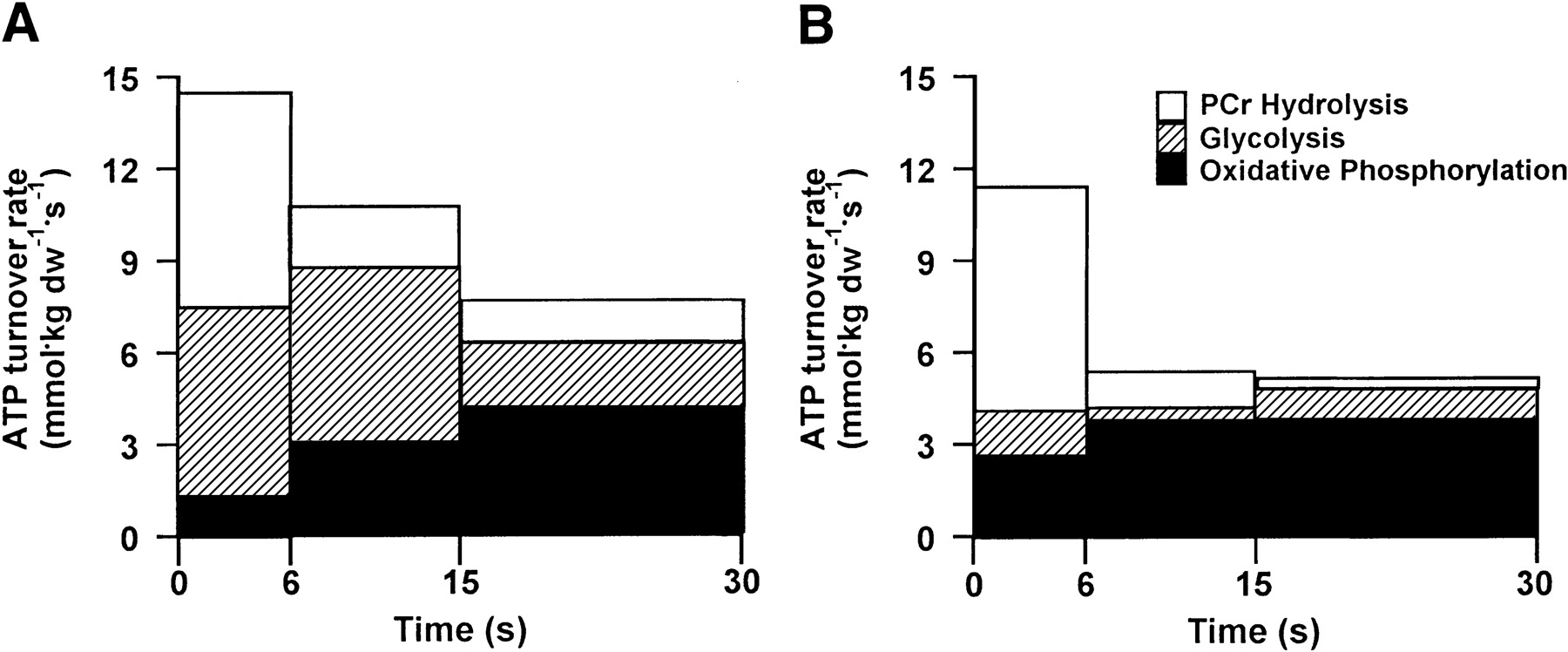 RepeatedSprint Athletes Energy Systems & Training 8 Weeks Out