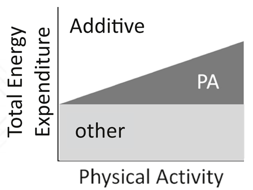 Recovery-Driven Fitness