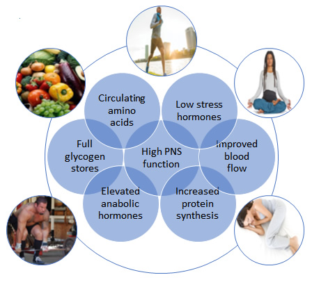recovery training