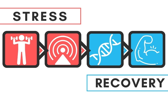 Understanding the Science of Stress and Recovery - Featured Image